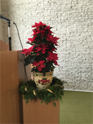 






























2015クリスマス

